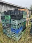 Skrzynki plastikowe 15 kg czeszki 60 szt .