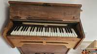 Harmonium antigo  de foles