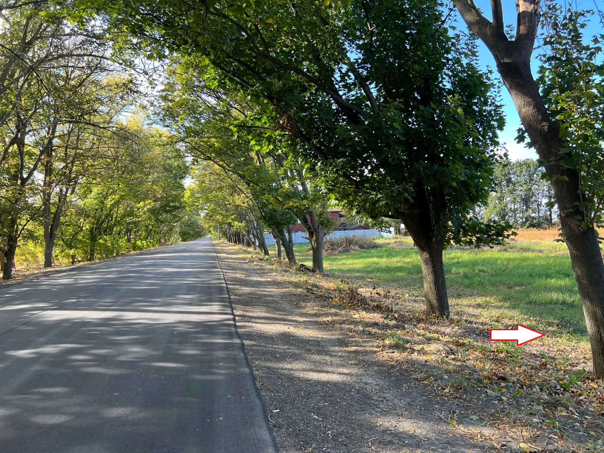 Петропавлівське фасадна ділянка від 12 до 48 соток.