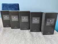 Perceive men 100ml x5