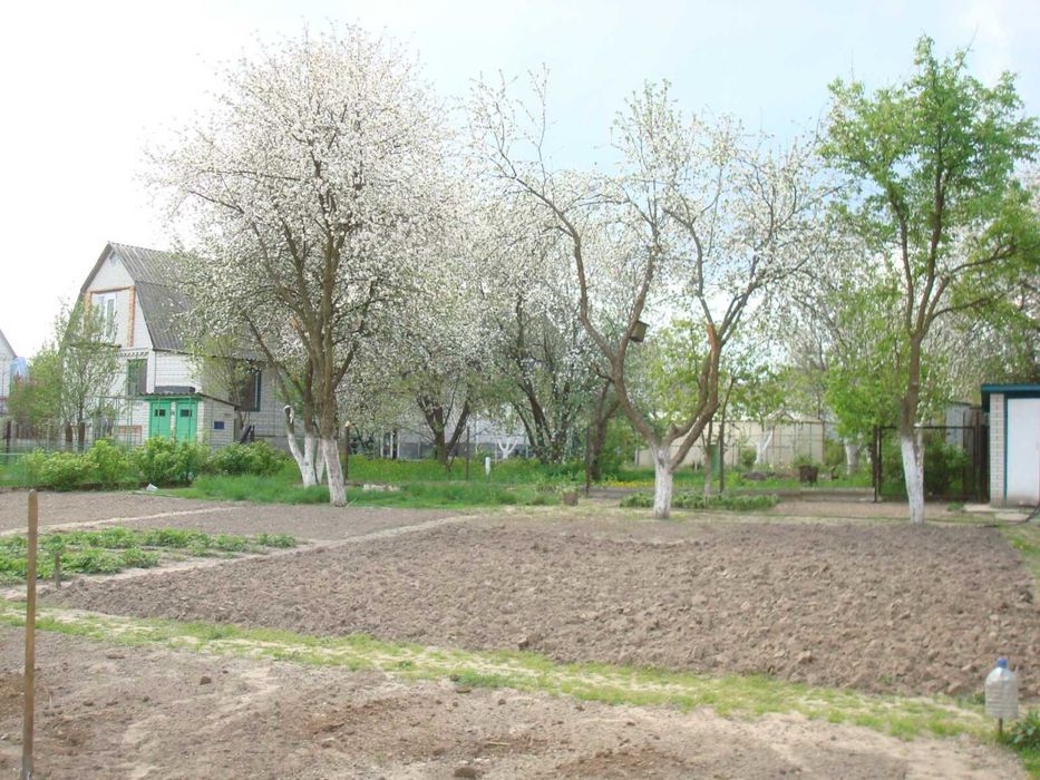 Ділянка біля лісу СТ Прилісся 5.5 соток