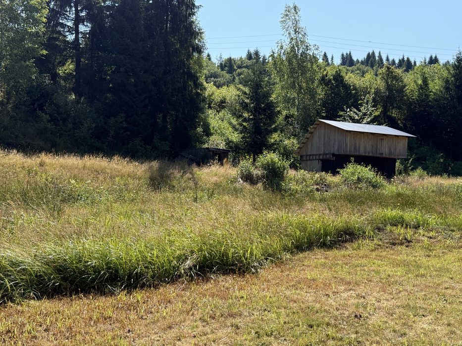 Продається ділянку в курортному селі гір Закарпаття