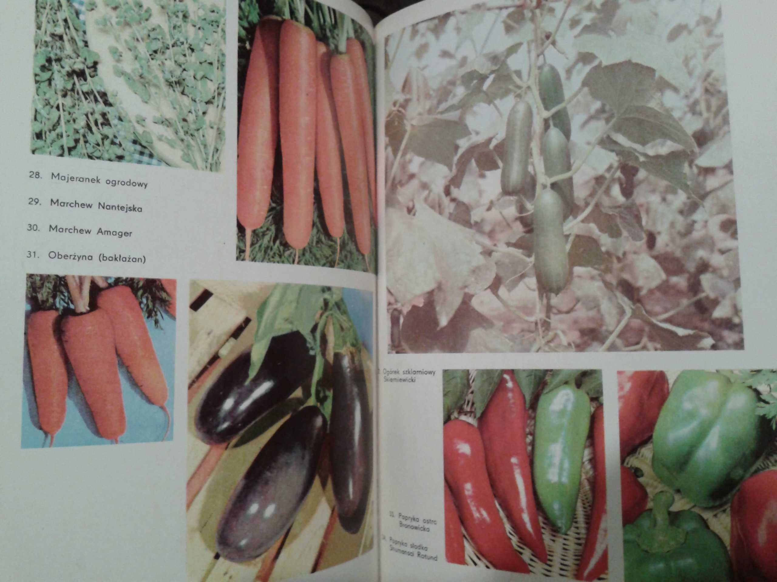 Katalogi roślin z 1985 roku