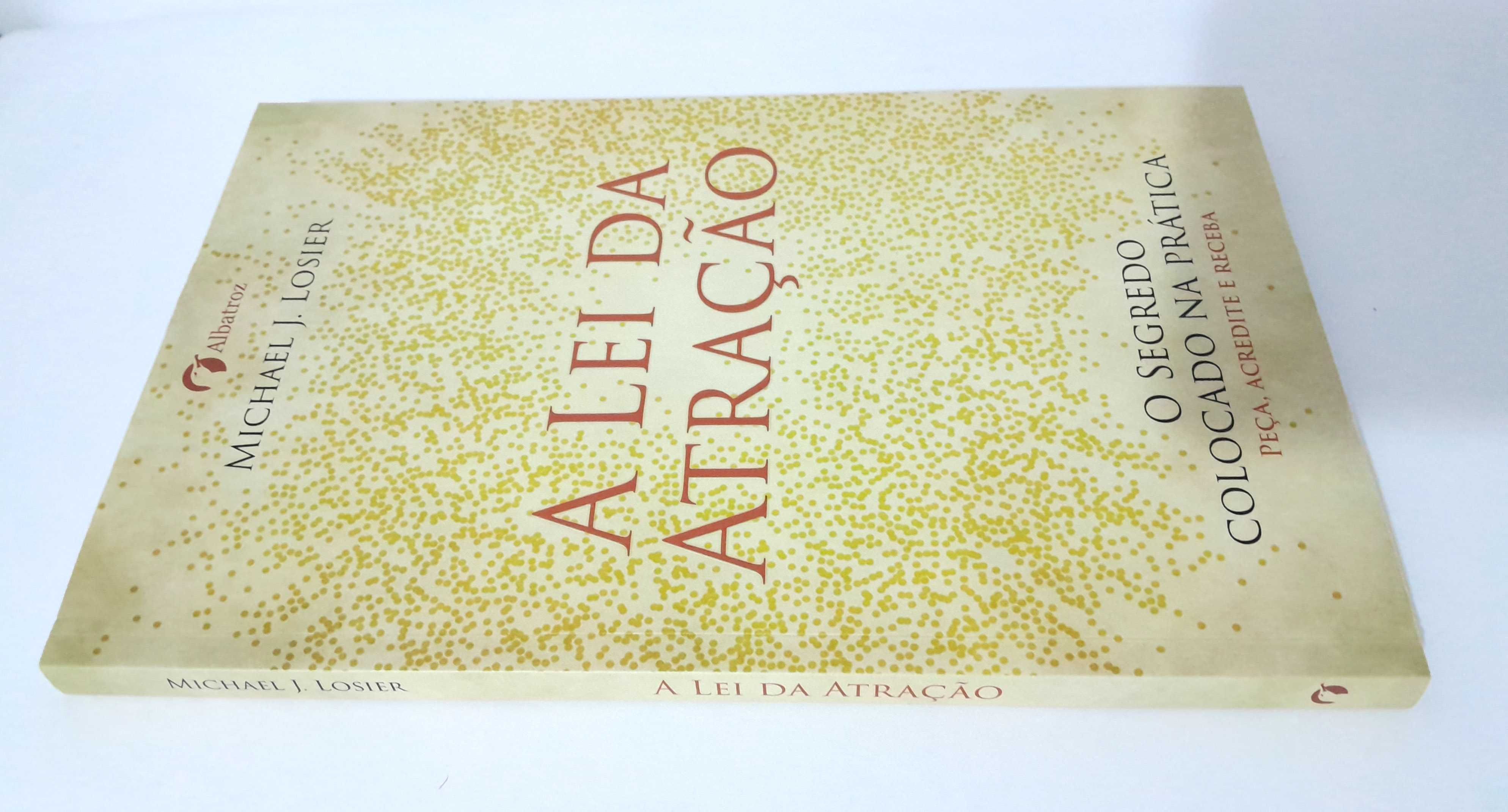 A Lei da Atração - Michael J. Losier