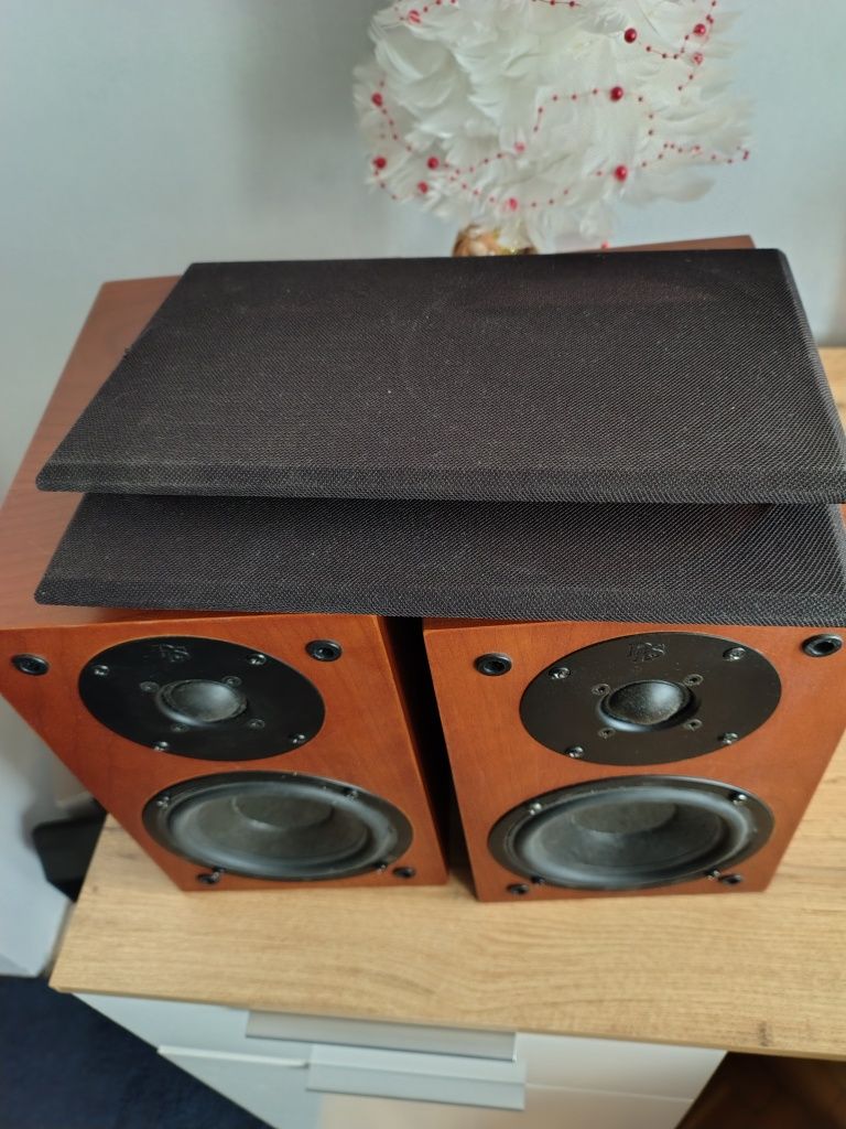 DLS R50 szweckie bardzo dobrze grające monitorki