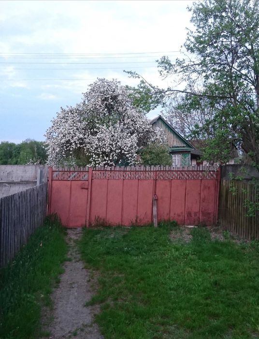 Дом в селе Стремигород