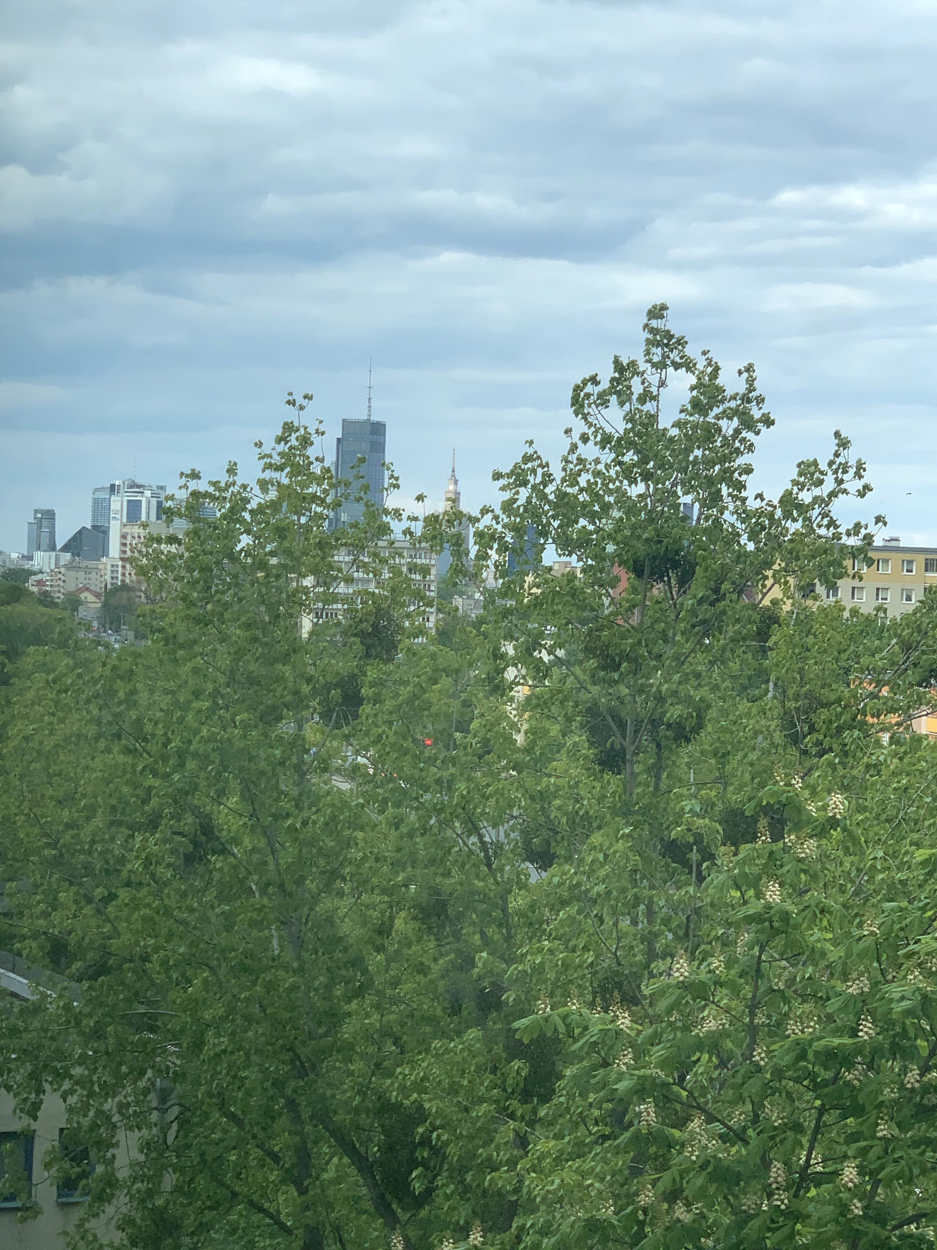 Idealnie czysty i przytulny apartament, 37 m2