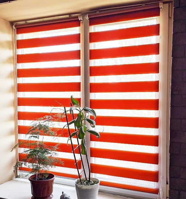 Жалюзи День-Ночь, Рулонные шторы, Тканевые ролеты Berlin B-0800 Днепр