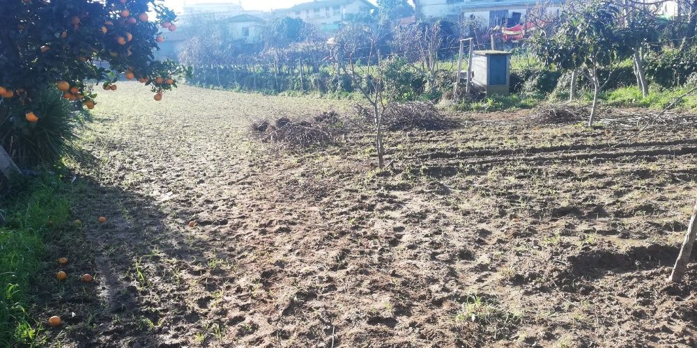 Proprietário: venda, Terreno Urbano com pequeno edifício.