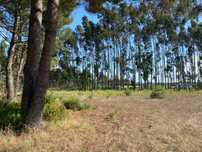 Terreno na Avenida do Frade, 21 - Silveira