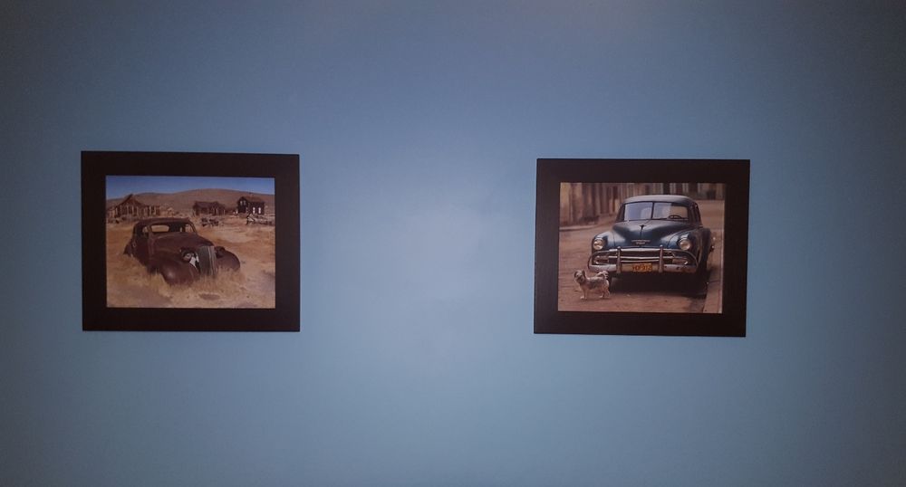 Quadros sala ou quarto 63x53