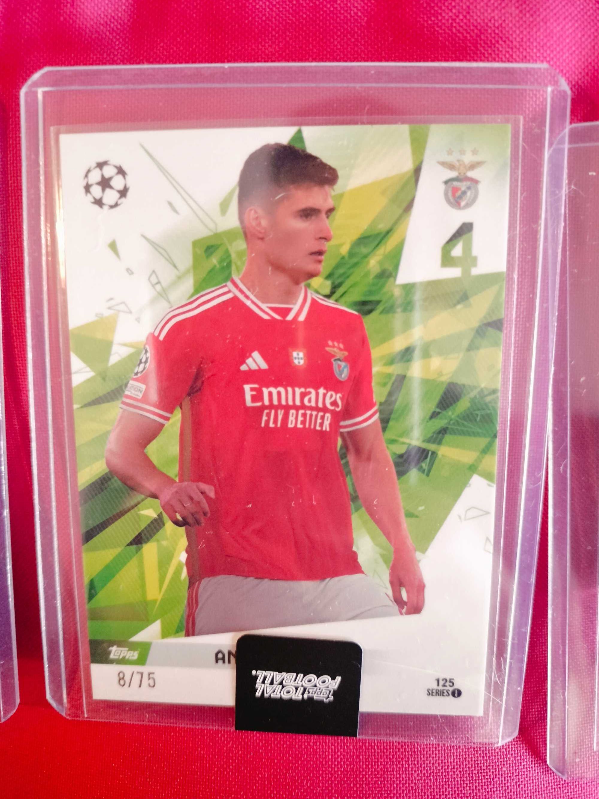 Cards António Silva Benfica