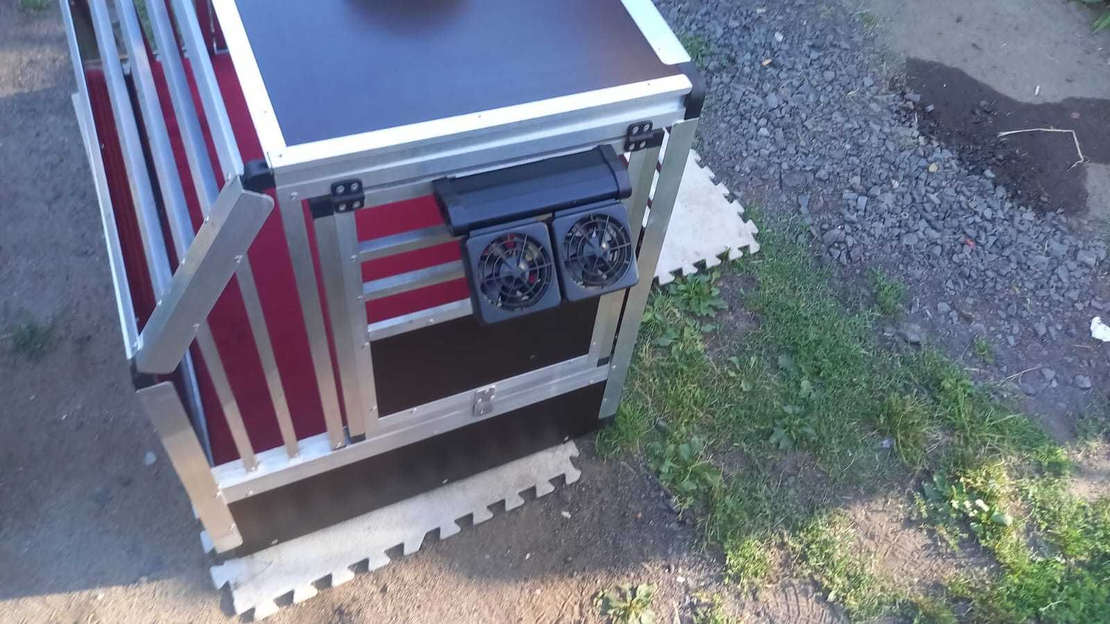 Transporter/box dla psa