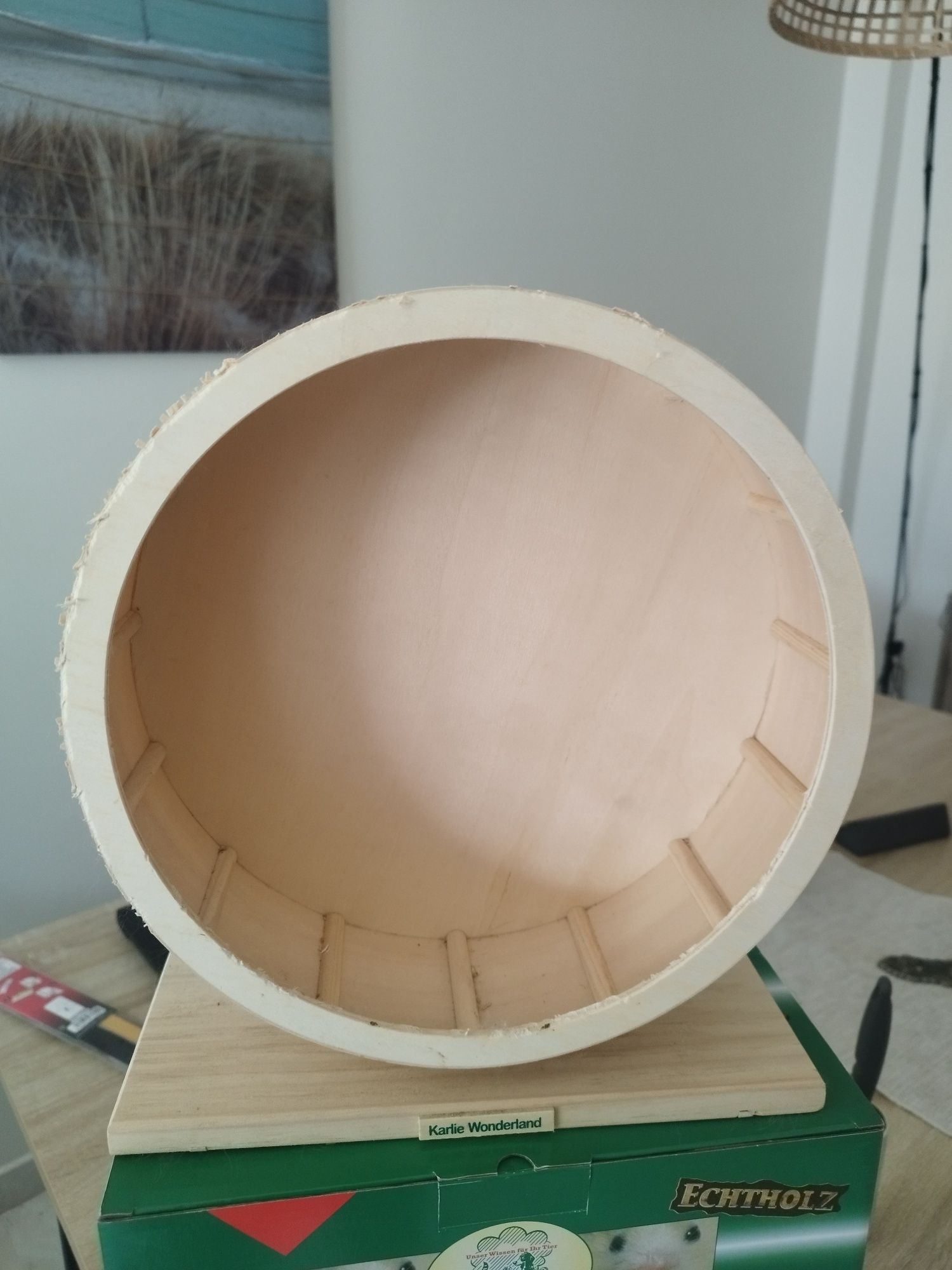 Roda para chinchila