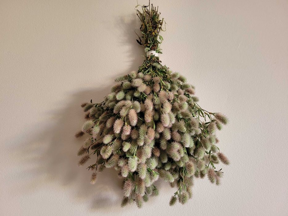 NA DOŻYNKI - suszone trawy kłosy bukieciki kwiaty suszone