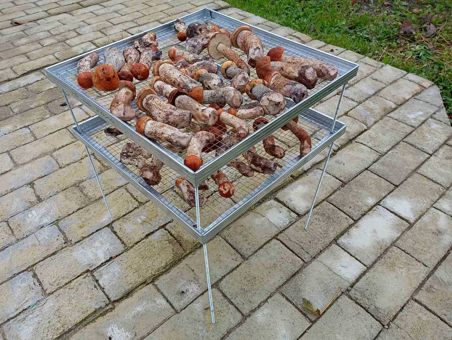 нова сушка,сушилка для сухоруктів та грибів...