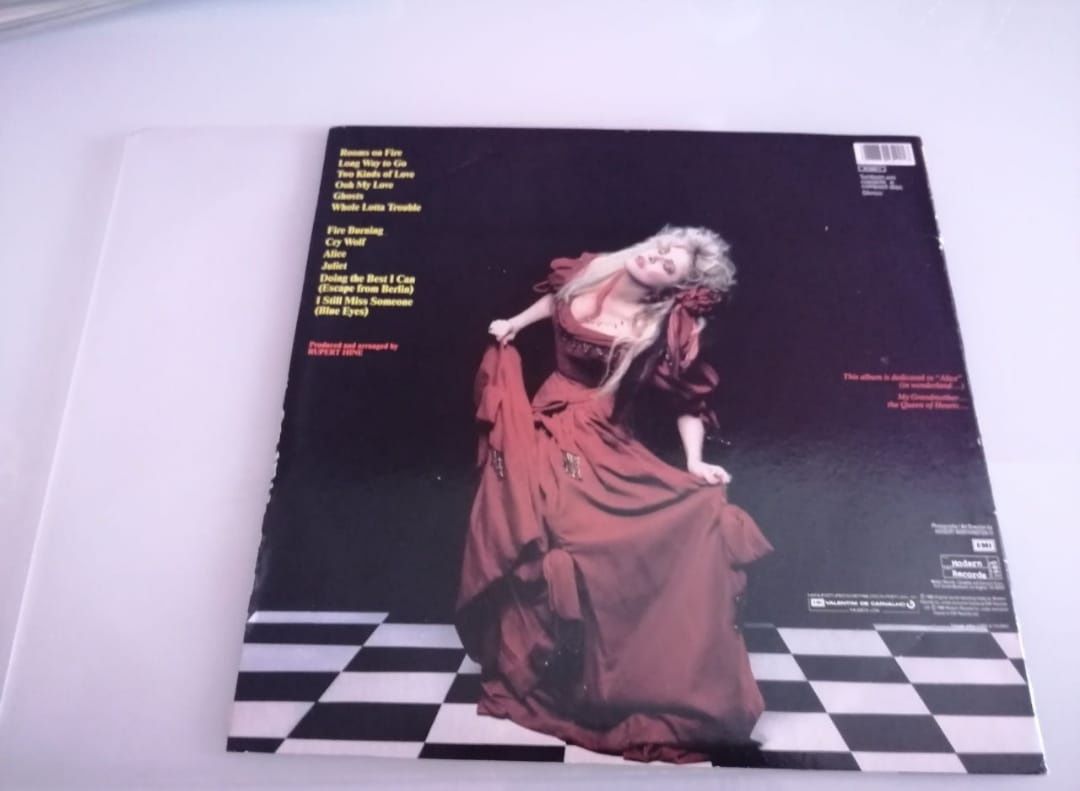 Disco de Vinil Stevie Nicks