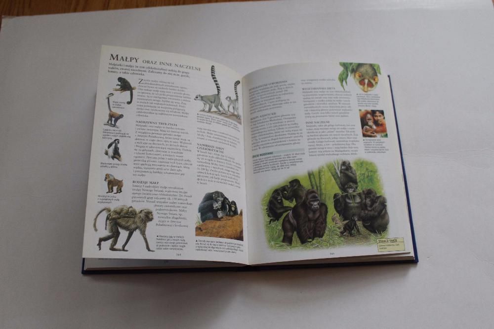 Podręczna encyklopedia ucznia