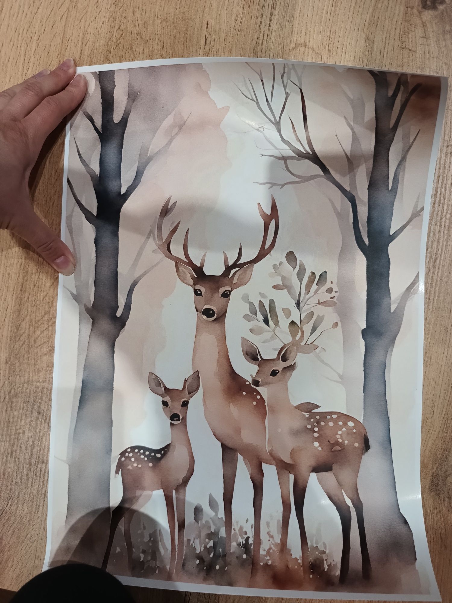 Obrazek/ plakat do pokoju dziecka, sarenki