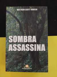 Mathew Scott Hansen - Sombra assassina