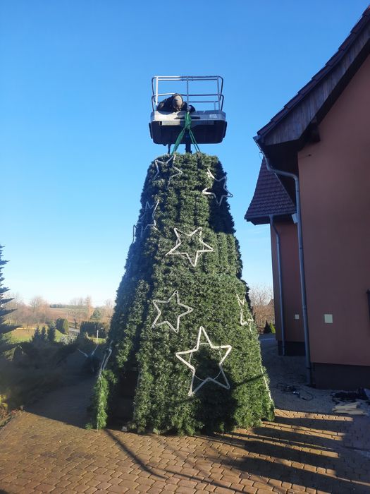 Usługi zwyżką i wycina drzew