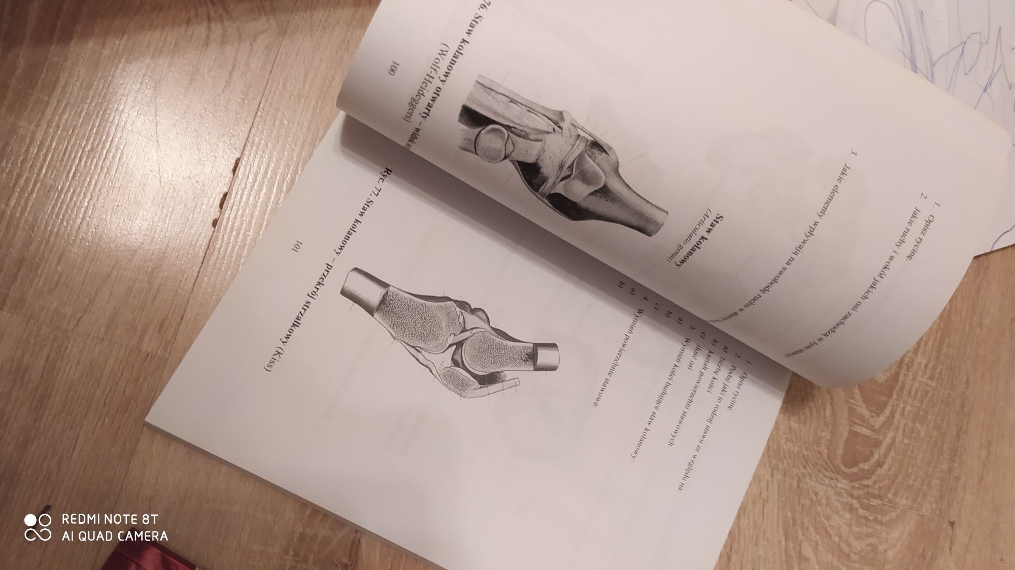 Książka do anatomii + ćwiczenia