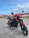 Musstang fortuna 200