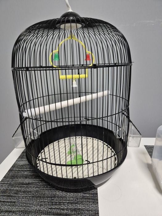 Klatka dla kanarka z basenem