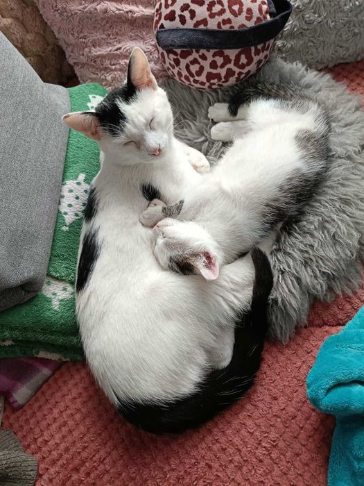 Dom Stałego dla Kacpra