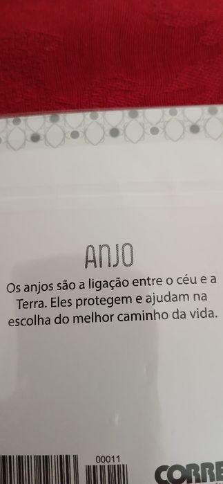 Anjo do Correio da Manhã, novo