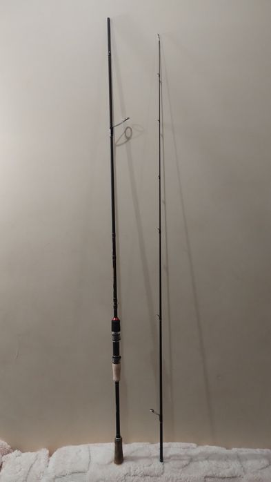 Спінінг Fishing Roi Gryphon 3-12 гр.