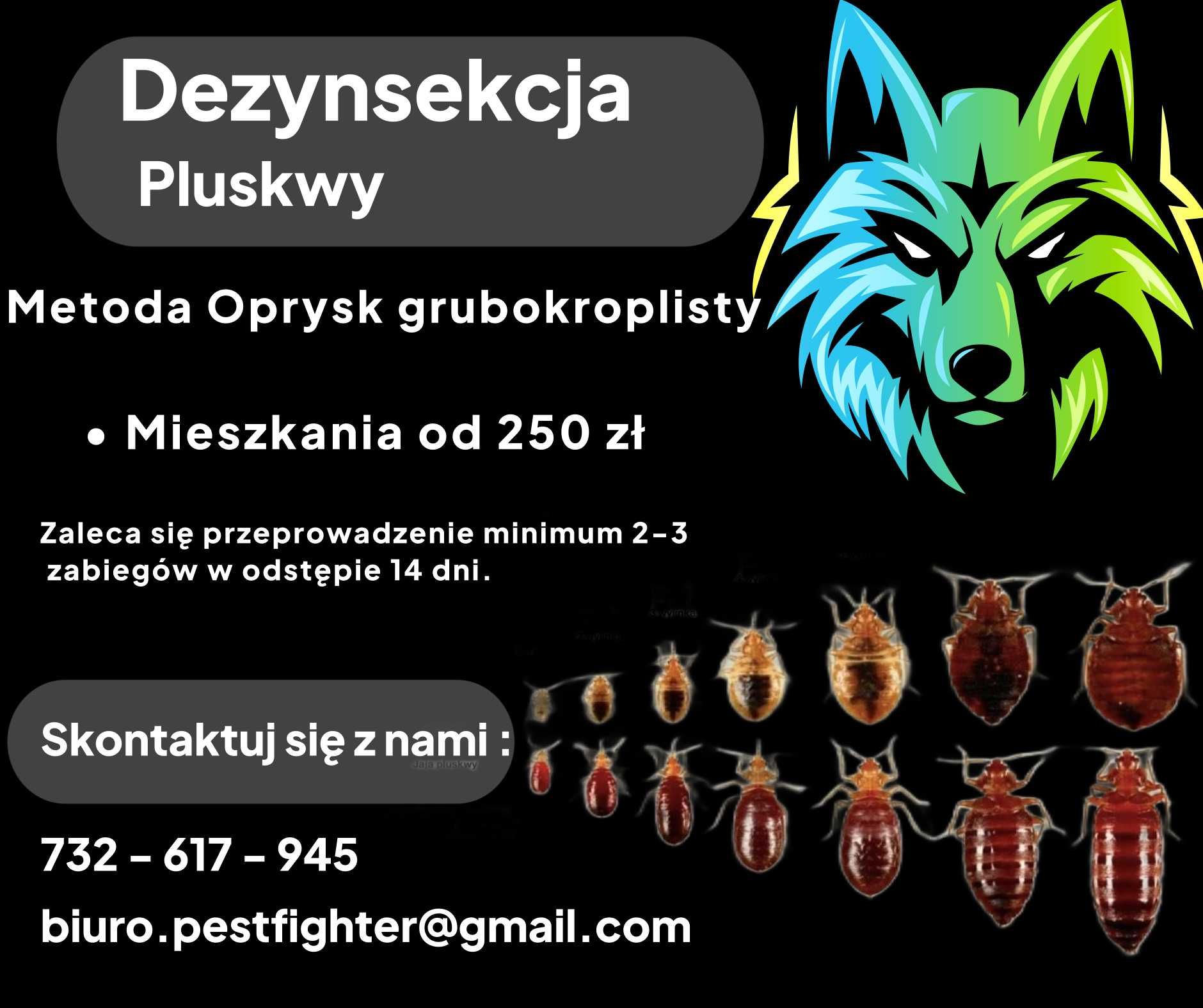 Dezynfekcja, Dezynsekcja, deratyzacja, Odpluskwianie, Odkomarzanie