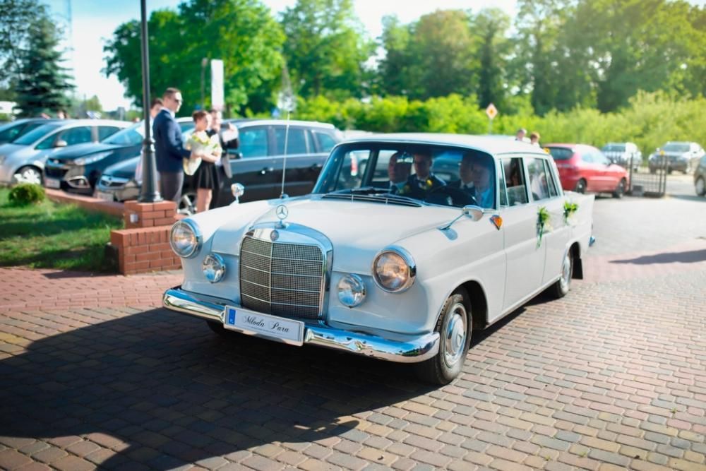 Pojazd do ślubu klasyczna limuzyna ponad 50-letni Mercedes retro