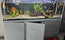 Szafka pod akwarium Aquael Glossy 150 szklane fronty