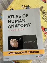 Атлас з анатомії(Atlas of Human Anatomy)