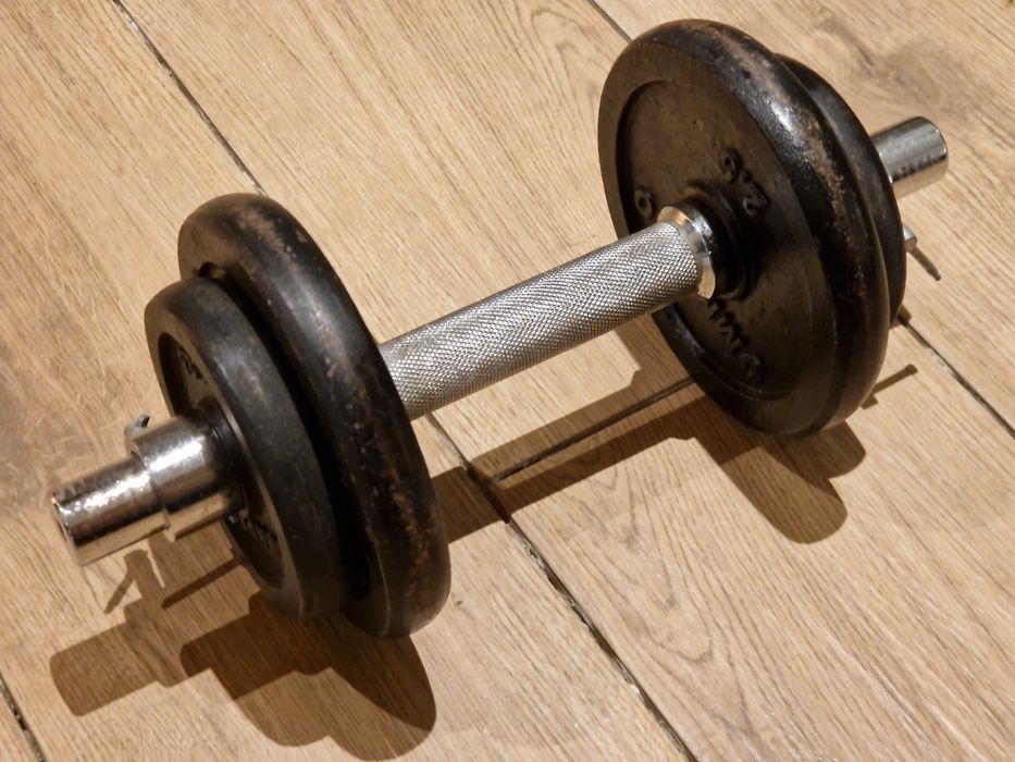 Hantel regulowany żeliwny 10kg