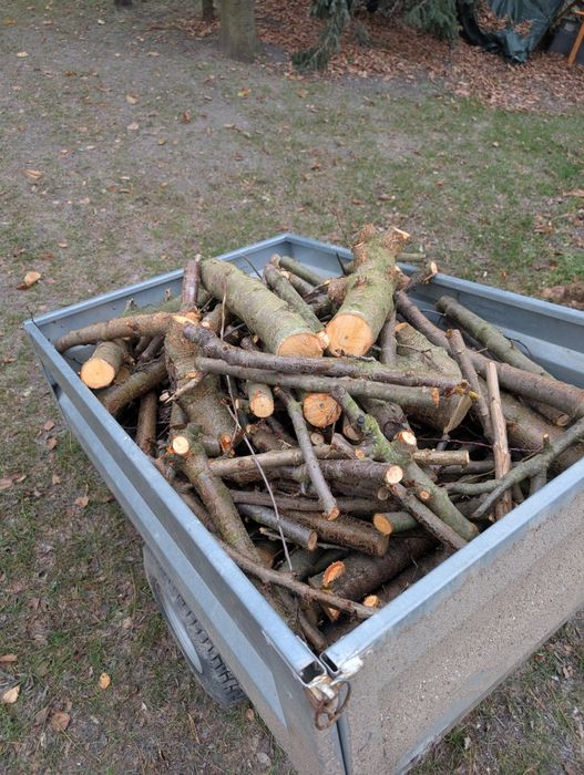 Drewno opałowe do wędzenia owocowe ślwia wiśnia