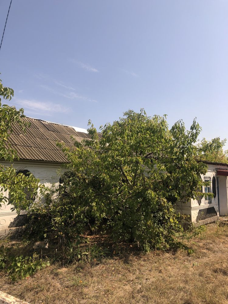 Продаж будинку у Великій Олександрівці