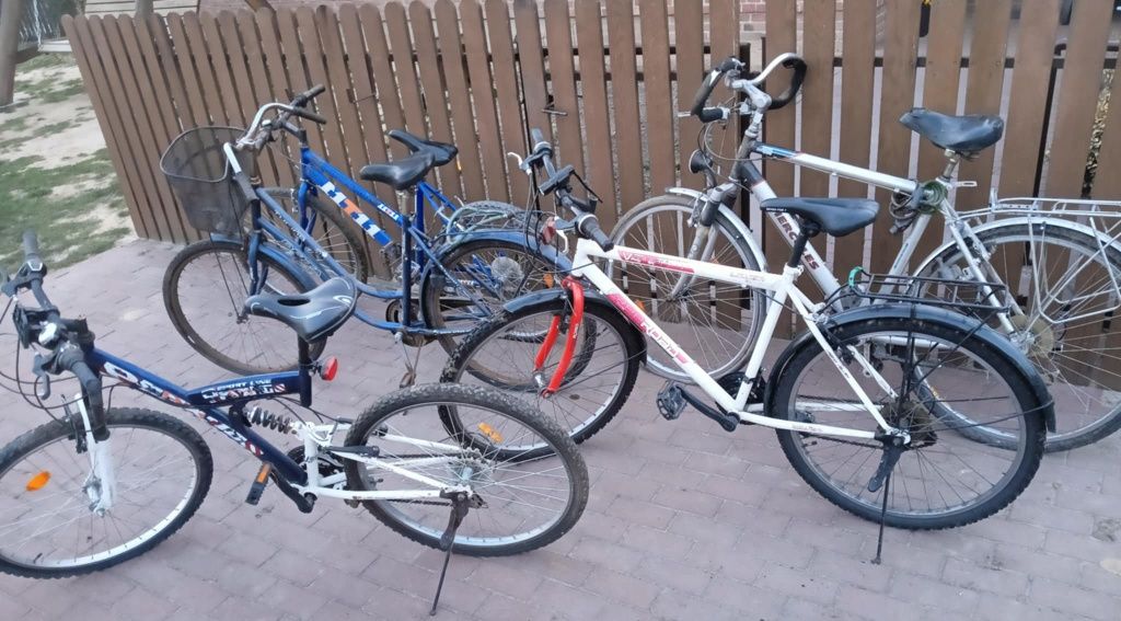 5 rowerów: górskie i damka