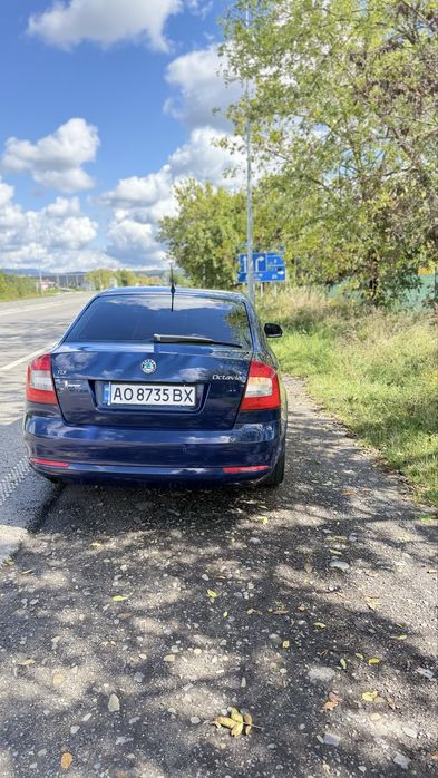 Шкода октавіа 1.6TDI
