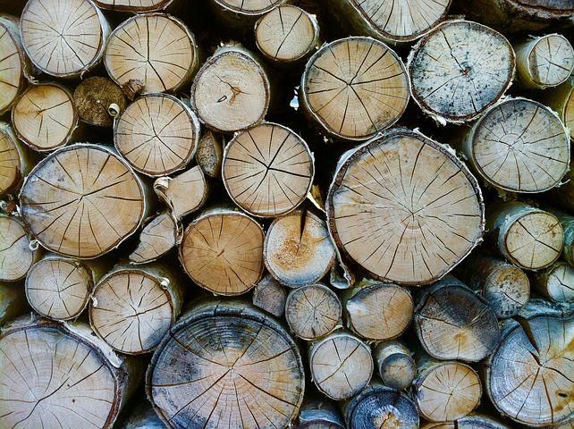 Продам дрова. Дуб, Граб, Акация, Ольха, Береза. З ДОСТАВКОЮ!