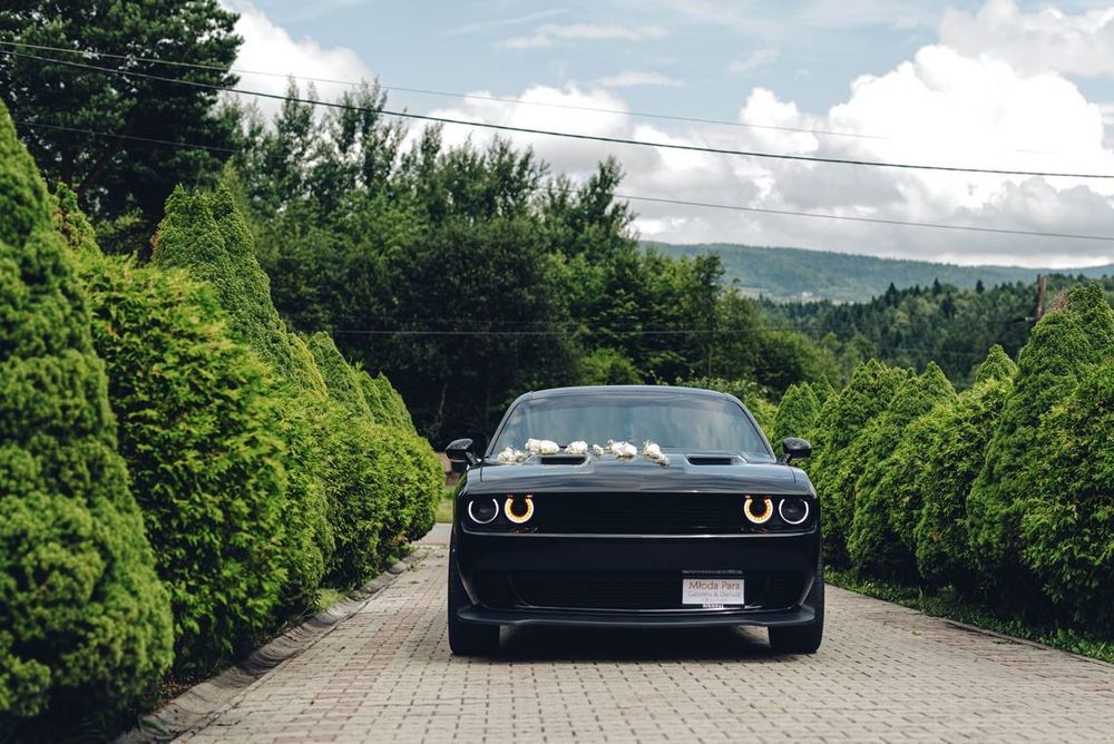 Dodge Challenger Dodge challenger 4x4 GT