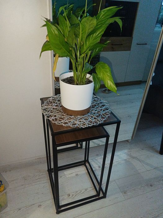 Dwa stoliczki , kwietniki