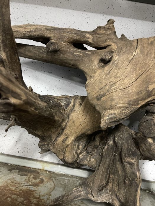 Корень в аквариум