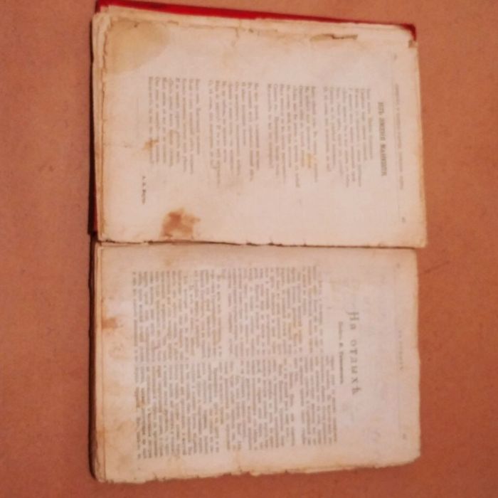 Нива: Ежемѣсячныя приложенія. №1, 1905 /Антикварное издание