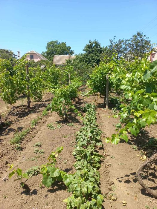 Продам Участок в Крыжановке
морская сторона