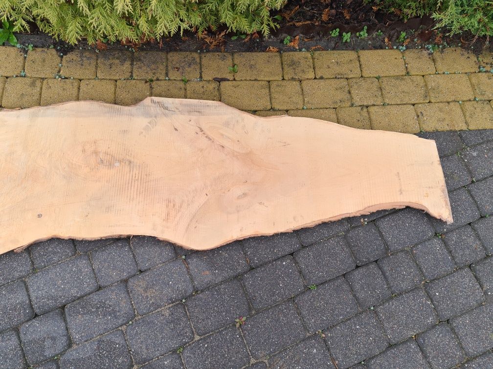 Blat z surowego drewna. Duży plaster drewna.