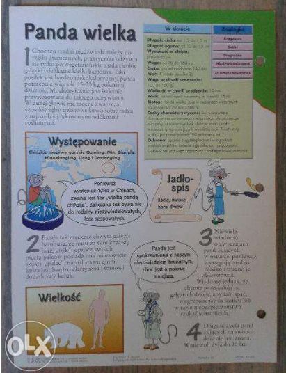 ŚWIAT ZWIERZĄT karty ze zwierzętami w segregatorze (36 sztuk)