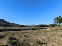 Terreno / Fundão, Castelo Novo