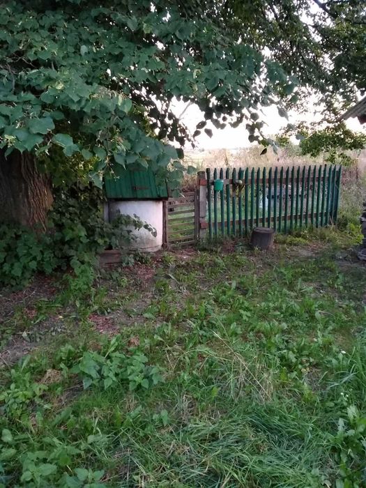 Продам будинок в.Сапожин, Рівненська обл.